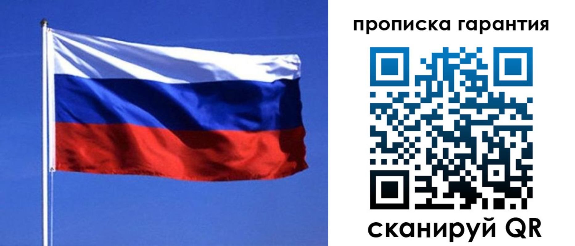 прописка для школы в Губкинском